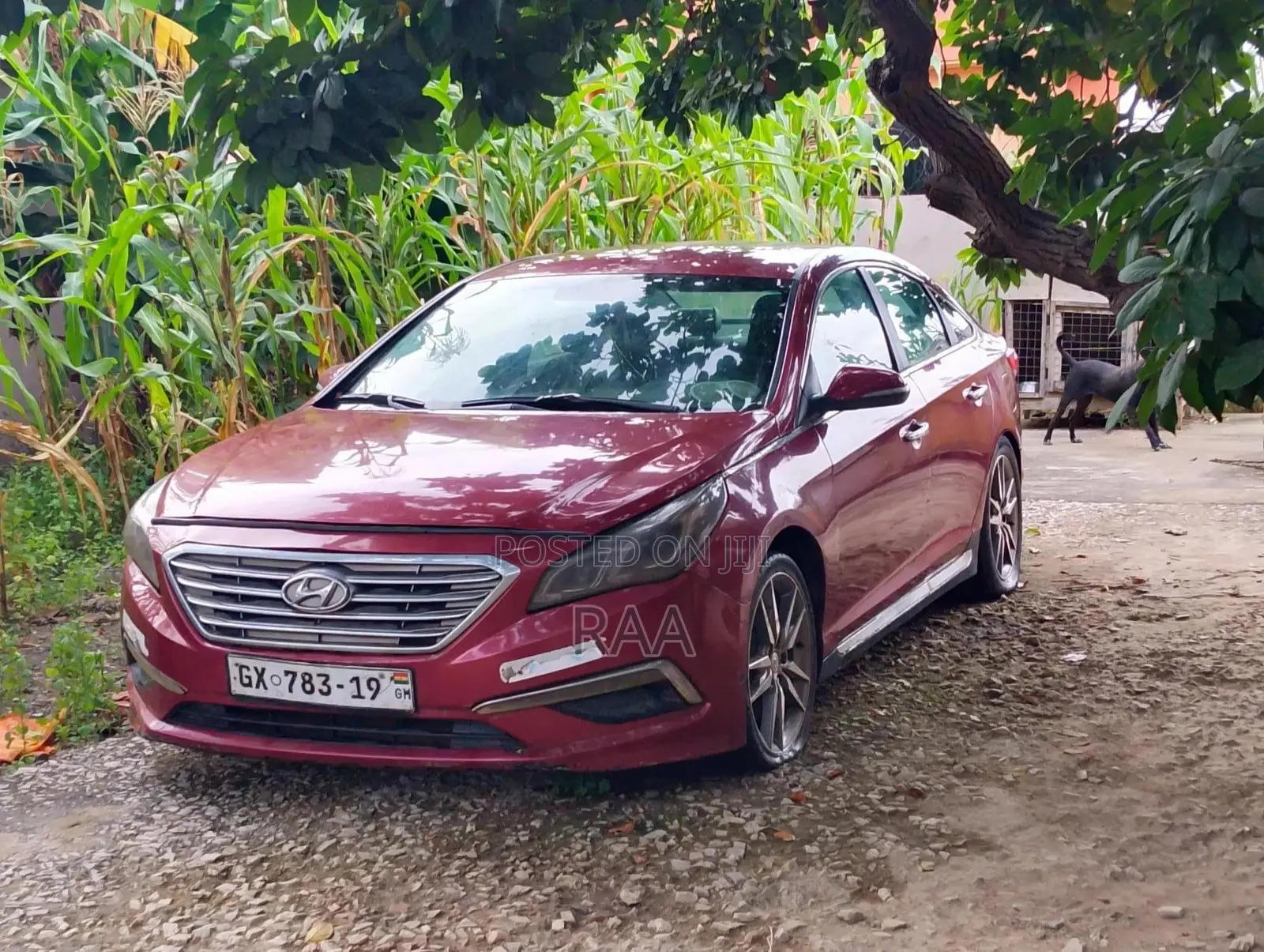 Hyundai Sonata Sport 2.0T 4dr Sedan (2.0L 4cyl Turbo 6A) 2015 Red