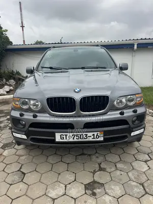 BMW X5 3.0i Sports Activity 2006 Gray