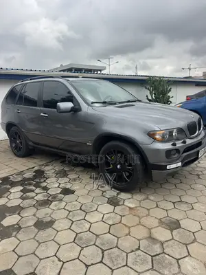BMW X5 3.0i Sports Activity 2006 Gray