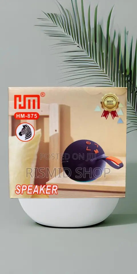 Hm-875 Mini Portable Speaker