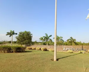Premium Land for Sale in Appolonia City