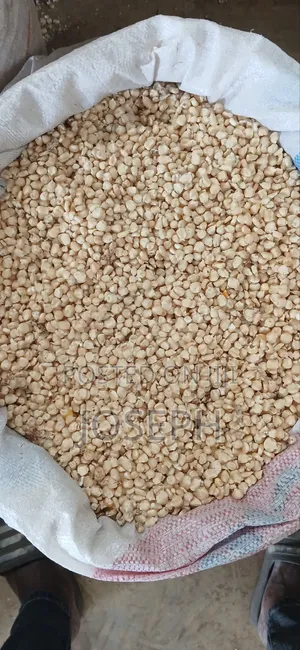 White Maize in 50kgs