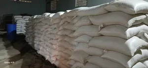 White Maize in 50kgs