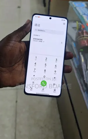 Xiaomi 13 Pro 256 GB Black