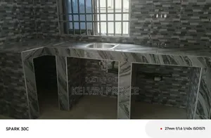 Professional Tiler