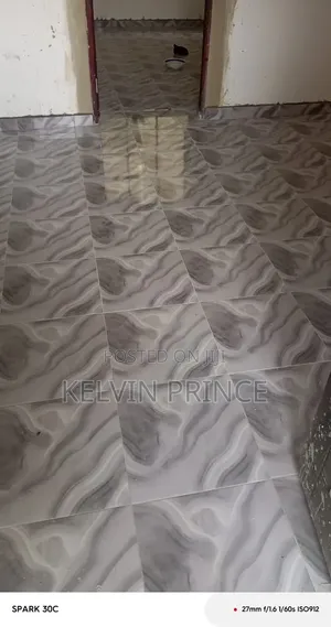 Professional Tiler