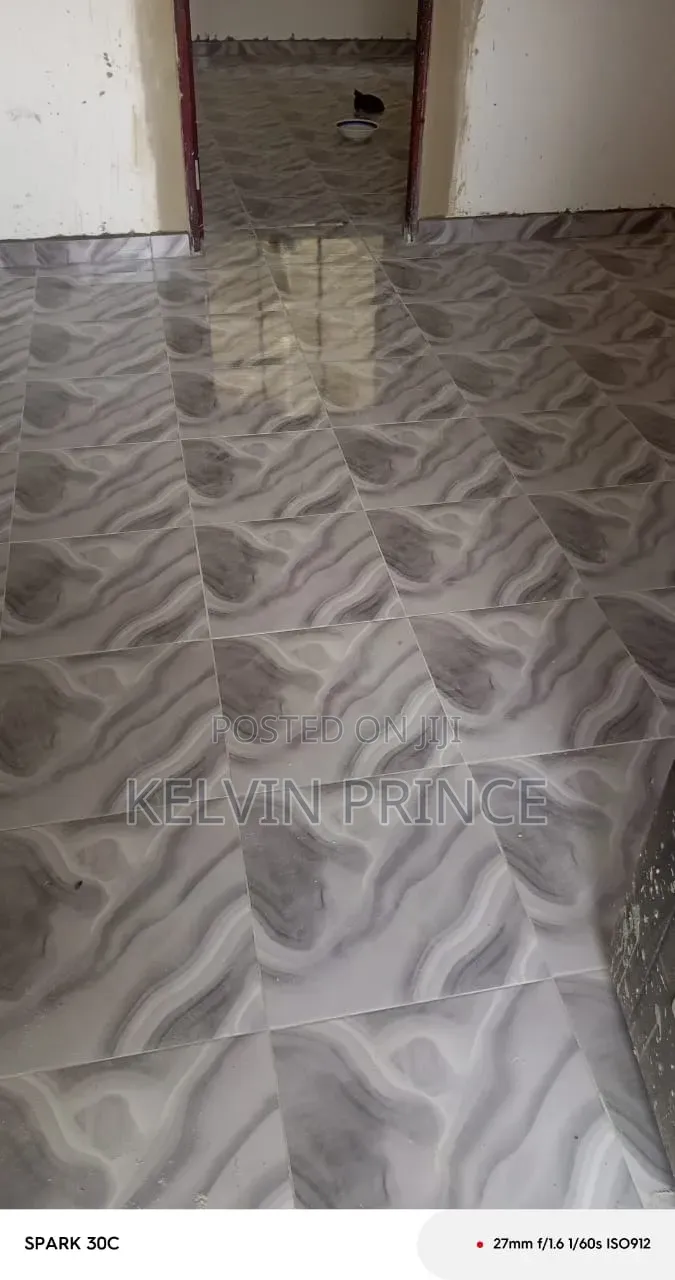 Professional Tiler
