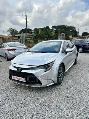 Toyota Corolla LE 2020 Silver