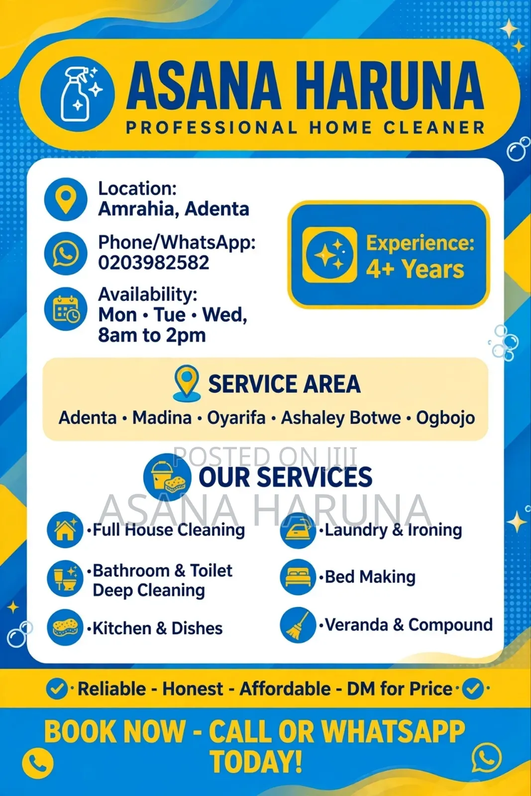 Pprofessional Home Cleaner