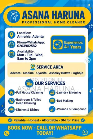 Pprofessional Home Cleaner