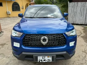 Great Wall King Kong Poer 2021 Blue