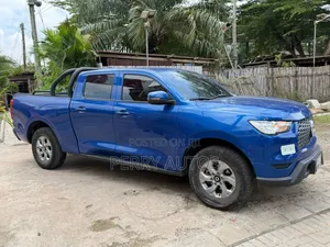Great Wall King Kong Poer 2021 Blue