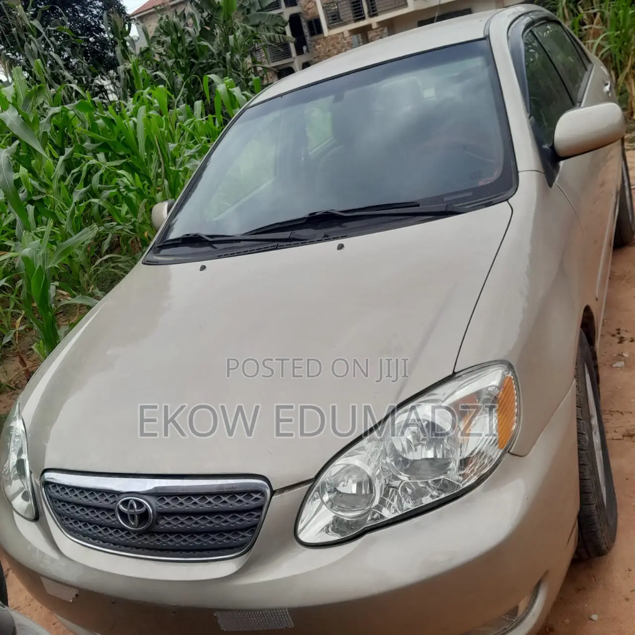 Toyota Corolla 2007 Beige