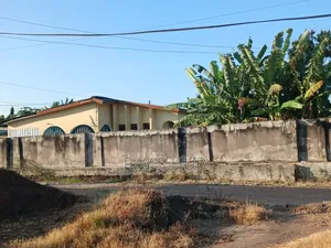 2bdrm House in Opeikuma for rent