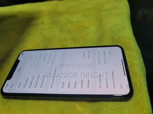 Apple iPhone 11 Pro Max 256 GB Black