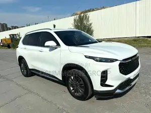 Maxus D60 2019 White