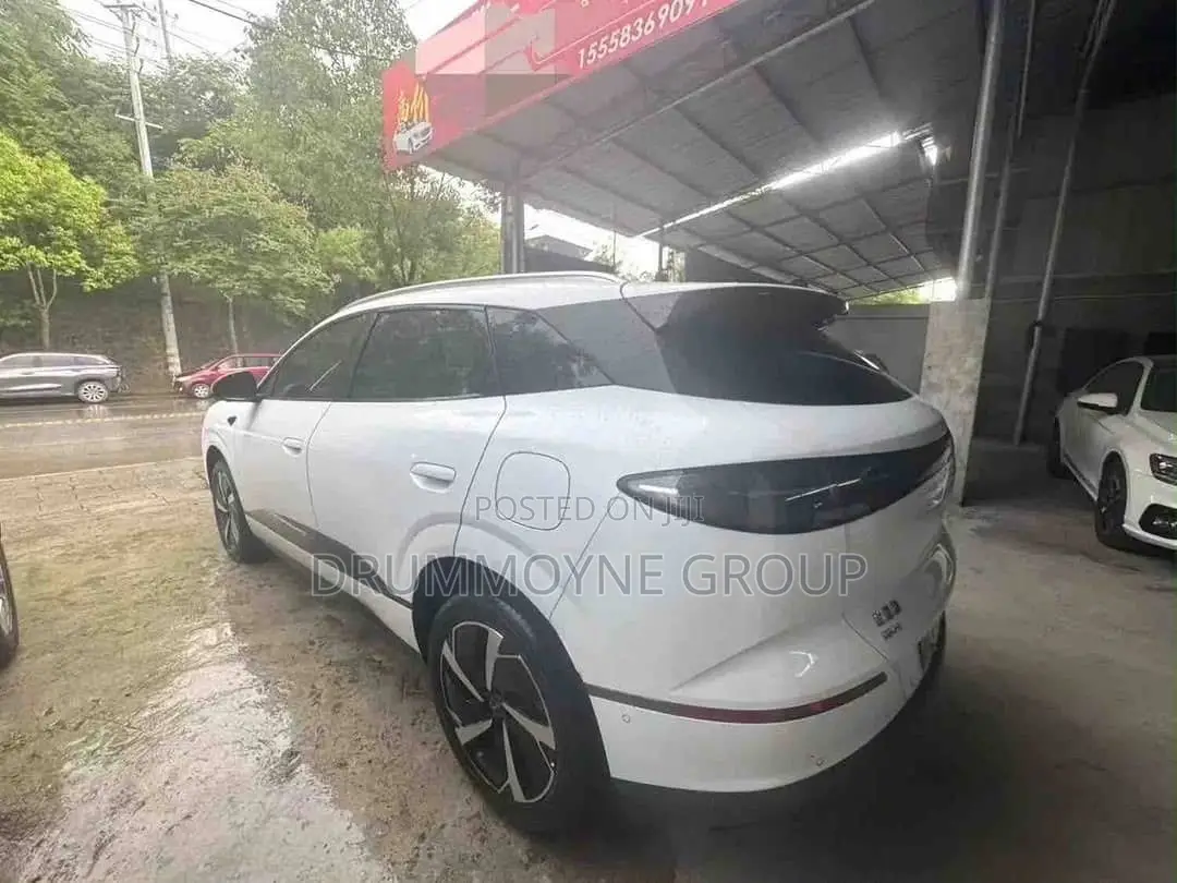 BYD Sealion 06 DM-i 2024 White