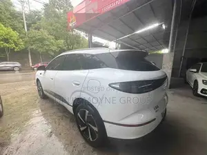 BYD Sealion 06 DM-i 2024 White