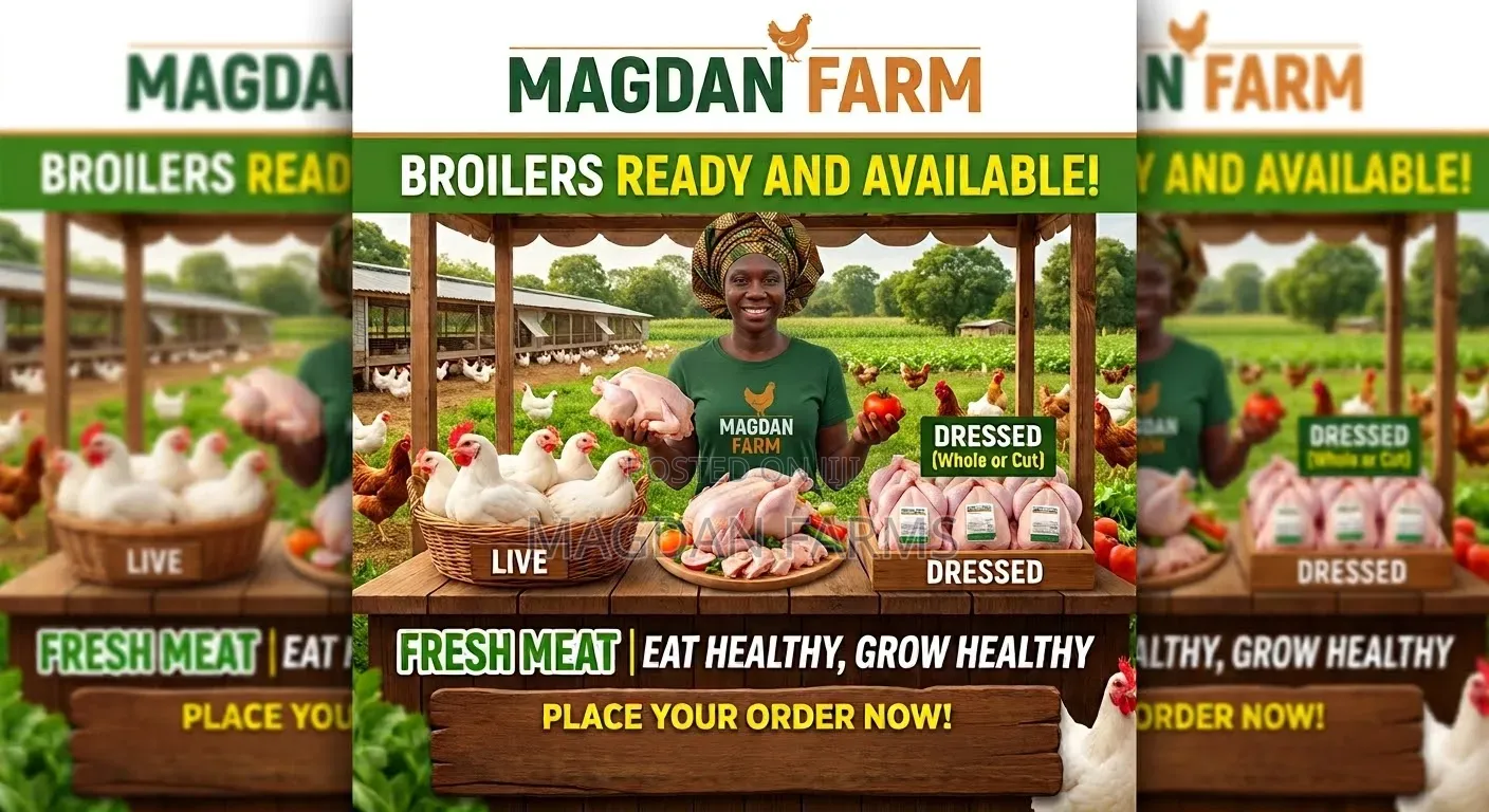 Broiler Chickens