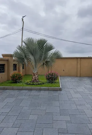 Pavement Slabs
