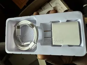 Original Type-C Fast Charger. (2 Pins)