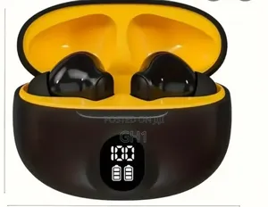 Wireless Bluetooth Earphones