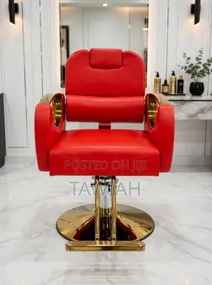 Luxury Salons Chairs