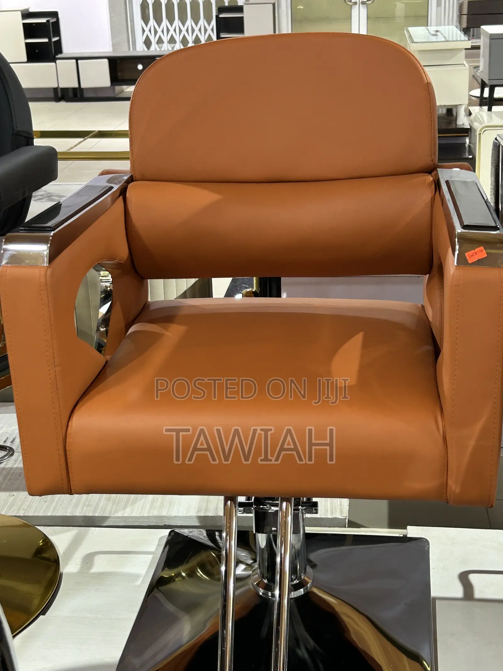Luxury Salons Chairs