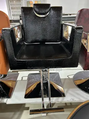 Luxury Salons Chairs