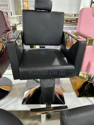Luxury Salons Chairs