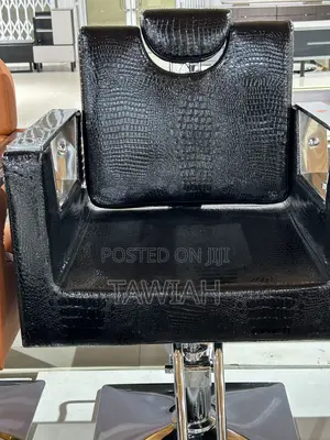 Luxury Salons Chairs