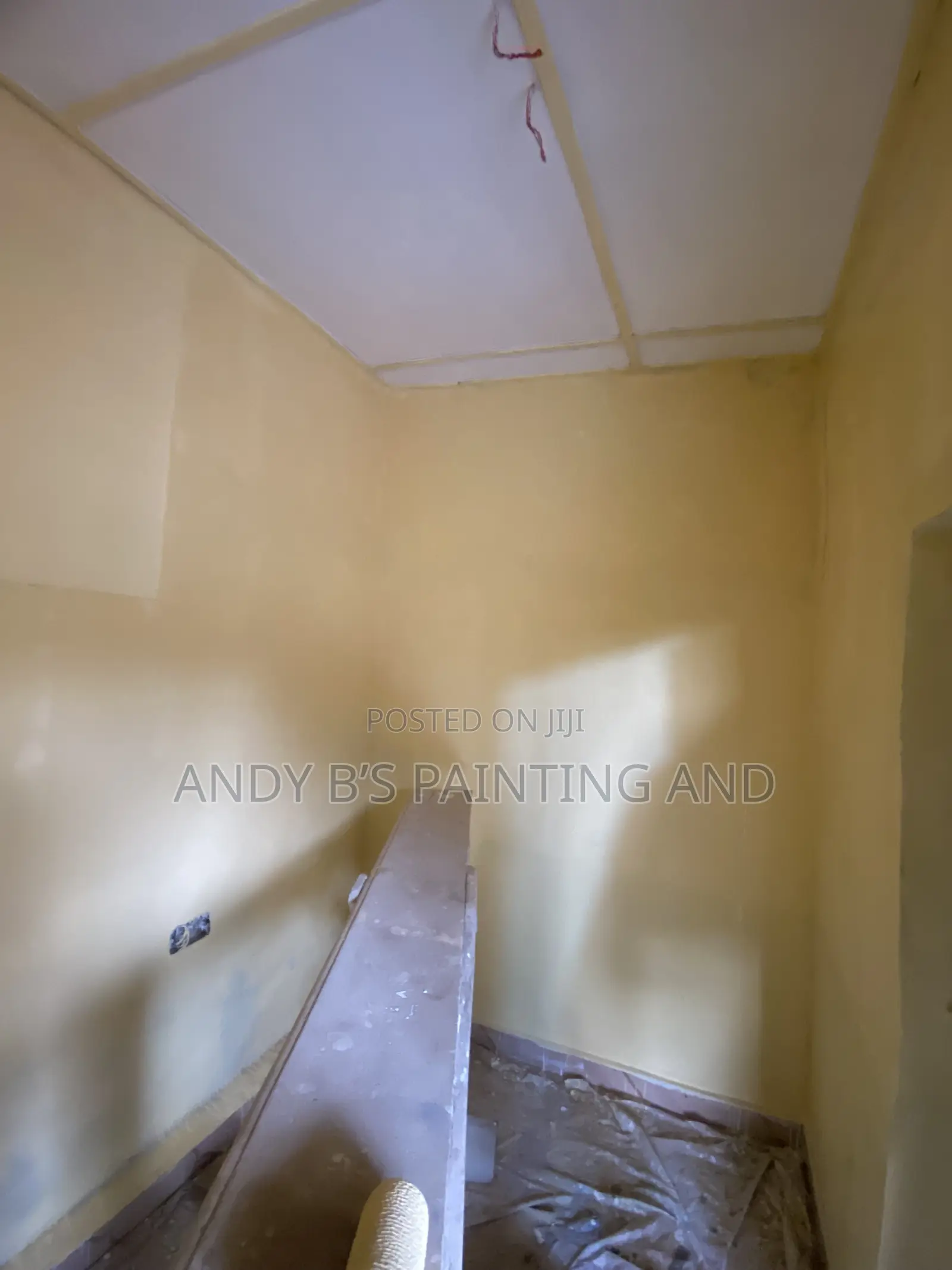 Residential and Commercial Painting Services