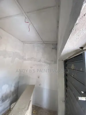 Residential and Commercial Painting Services