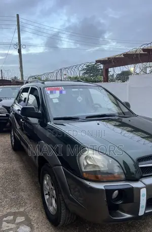 Hyundai Tucson 2009 Green