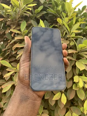 Apple iPhone 12 Pro Max 256 GB Graphite