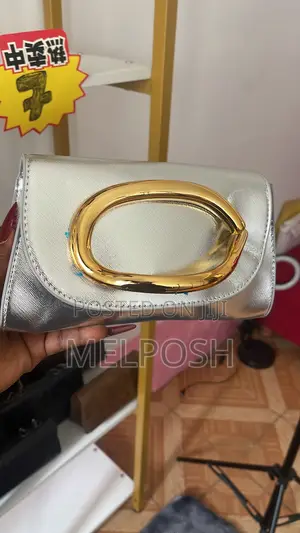 Ladies Hand Bag