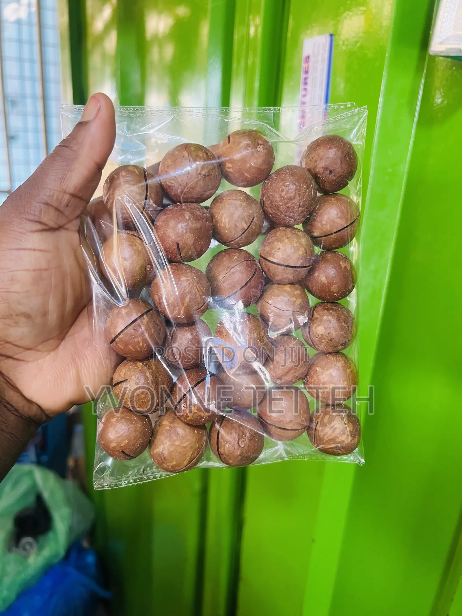 Macadamia Nuts in Shell 250g