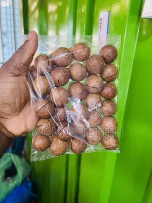 Macadamia Nuts in Shell 250g