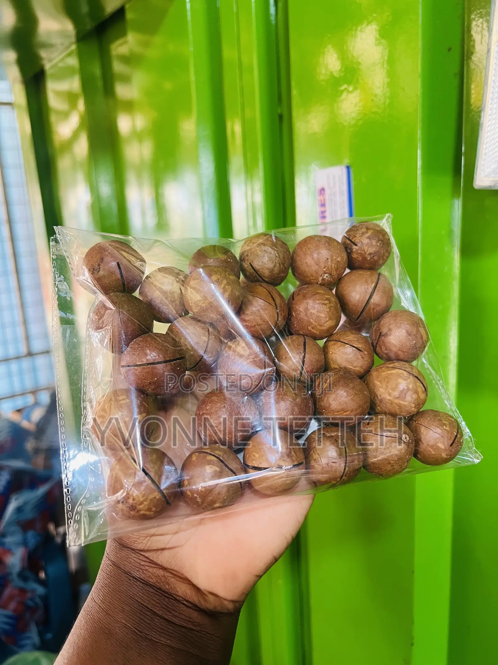 Macadamia Nuts in Shell 250g