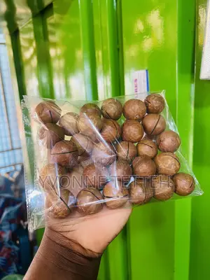Macadamia Nuts in Shell 250g