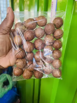 Macadamia Nuts in Shell 250g
