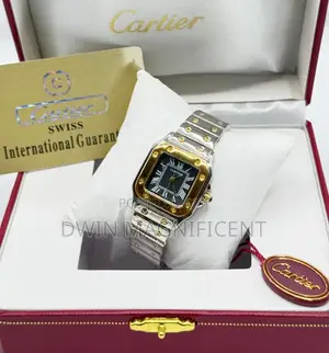 Cartier Santos Style