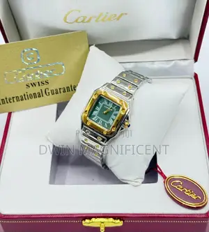 Cartier Santos Style