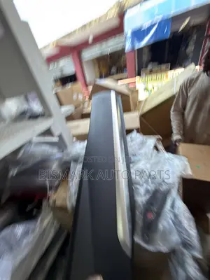 Hyundai Santafe 2019 2020 2021 2022 2023 Door Moulding