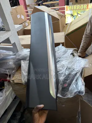 Hyundai Santafe 2019 2020 2021 2022 2023 Door Moulding