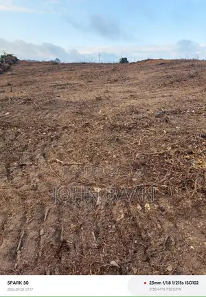 A Plot of Land for Sale 70 by 100