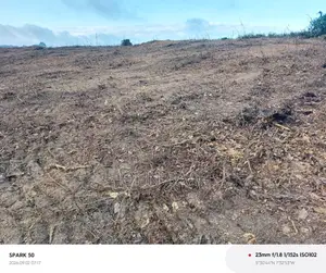 A Plot of Land for Sale 70 by 100