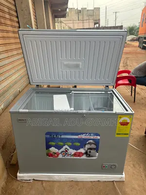 Chest Freezer 305L