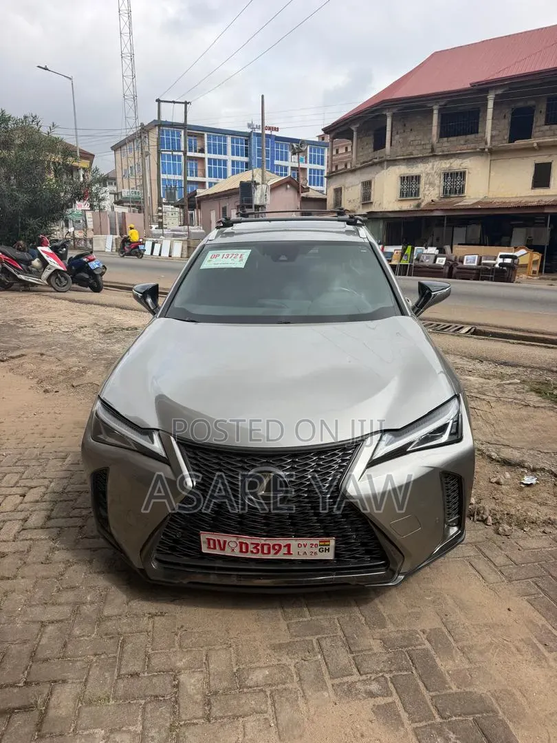 Lexus UX 2019 Gray