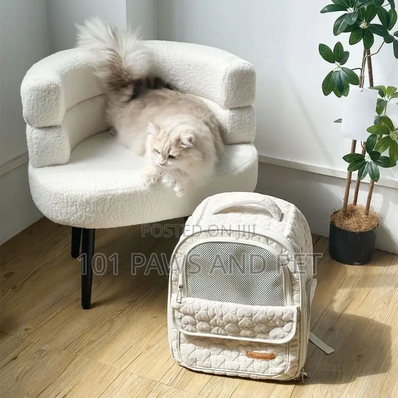 Foldable Carrier Bag for Cats and Pets